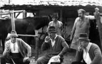 Morometii - Ce ziceti de acest film?...sper sa va placa.Dak - ---===Filme Romanesti===---